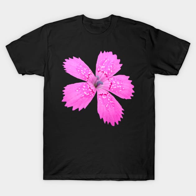 unique pink flower, bloom, flowers, petals, blooming T-Shirt by rh_naturestyles